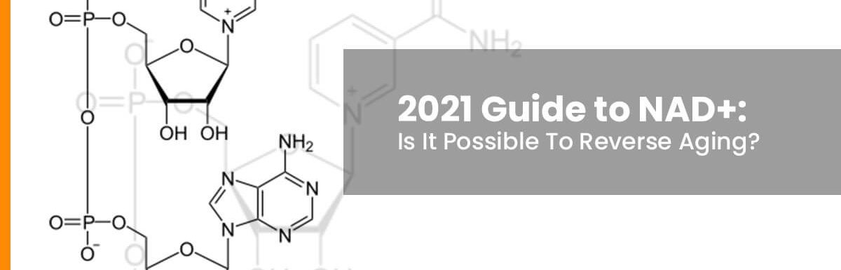 2021 Guide to NAD+: Is It Possible To Reverse Aging?