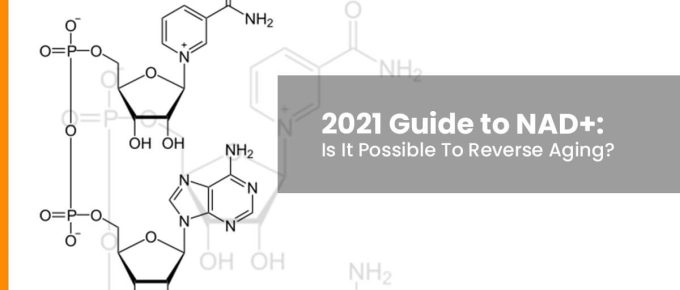 2021 Guide to NAD+: Is It Possible To Reverse Aging?