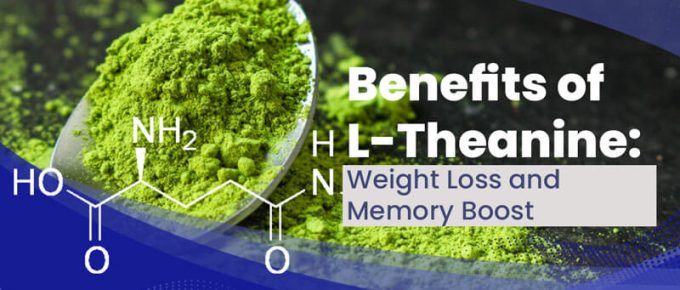 Benefits of L-Theanine: Weight Loss and Memory Boost