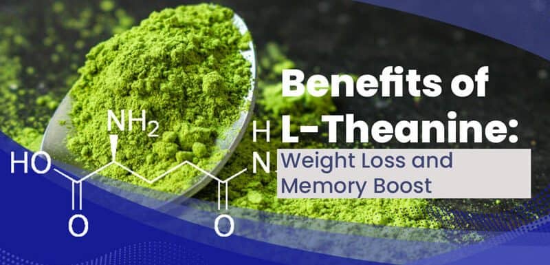 Benefits of L-Theanine: Weight Loss and Memory Boost