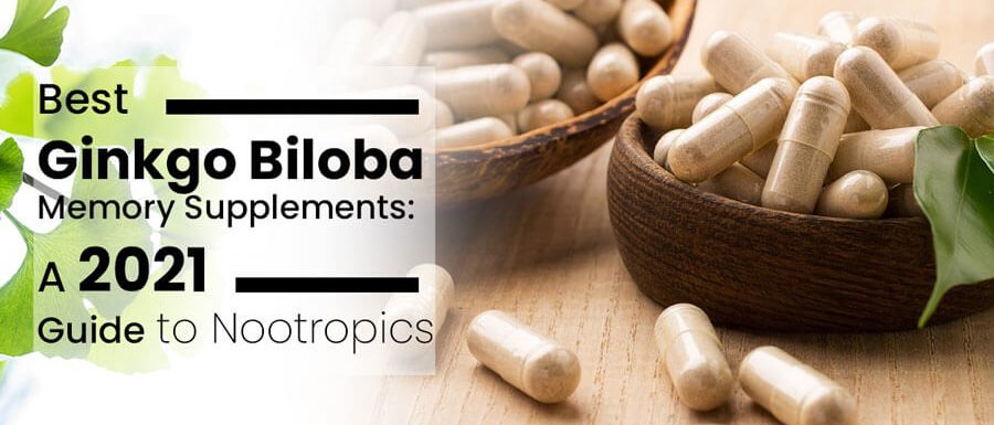 Best Ginkgo Biloba Memory Supplements: A 2021 Guide to Nootropics