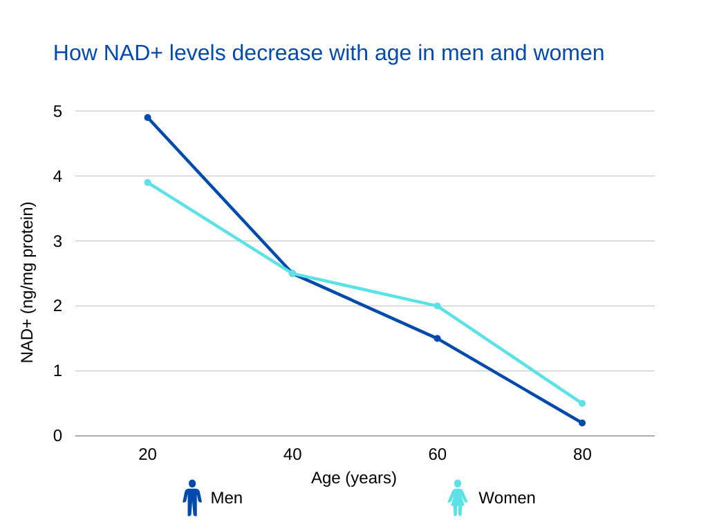 NAD+ How NAD+ levels decrease with age in men and women