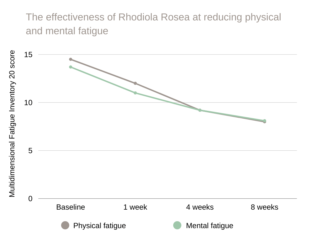 rhodiola benefits The effectiveness of Rhodiola Rosea at reducing physical and mental fatigue